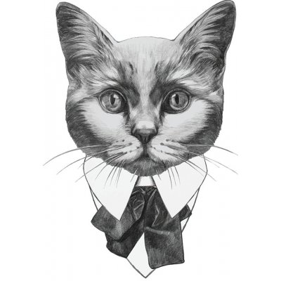 Transferový obrázek na textil Cadence, 21x30 cm - Kočka – Zboží Dáma