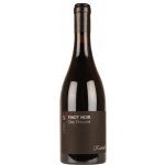Château Kamnik Pinot noir "Clos Vineyard" 2022 14% 0,75 l (holá láhev) – Hledejceny.cz