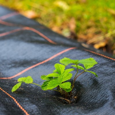 Springos agrotextilie 1,6 x 10 m zesílená AG0030 černá – Hledejceny.cz