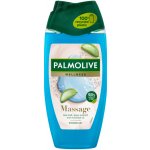 Palmolive Aroma Sensations Feel The Massage sprchový gel 250 ml – Hledejceny.cz