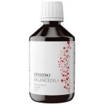 Zinzino BalanceOil+ Grapefruit Lemon Lime 300 ml – Hledejceny.cz