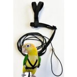 Samohýl Kšandy s vodítkem pro papoušky M – Zboží Mobilmania