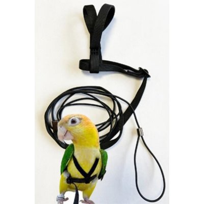 Samohýl Kšandy s vodítkem pro papoušky M – Zboží Mobilmania