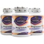 Golden Nature Magnesium Hořčík Chelate+Vitamin B6 2+1 300 kapslí – Hledejceny.cz