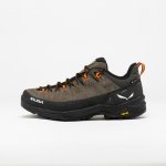 Salewa Alp Trainer 2 Gore Tex hnědé – Zbozi.Blesk.cz