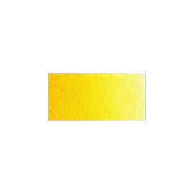 Old Holland olejová barva 40 ml 014 Scheveningen Yellow Medium – Sleviste.cz