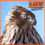 Blackfoot - Marauder LP – Hledejceny.cz