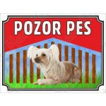 Pozor pes - Čínský naháč, plast 210 x 148 x 0,5 mm A5 – Hledejceny.cz