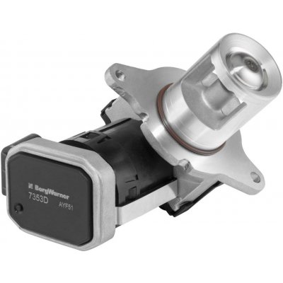 AGR-Ventil BORGWARNER 7353D | Zboží Auto