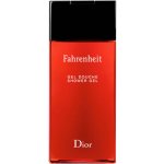 Christian Dior Fahrenheit sprchový gel 200 ml – Hledejceny.cz