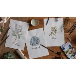 Staedtler 14610T C12 12 ks – Zboží Živě