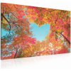 Obraz Malvis Obraz Srdce v korunách stromů 130x80 cm