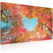 Malvis Obraz Srdce v korunách stromů 130x80 cm