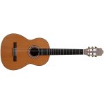 Prodipe Guitars Primera – Zbozi.Blesk.cz