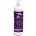 Aiko Šampon Levandulový pro psy 1 l – HobbyKompas.cz