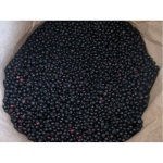 Negocio Borůvky lesní mražené 1 kg – Zboží Dáma