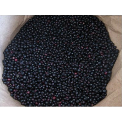 Negocio Borůvky lesní mražené 1 kg – Zboží Dáma