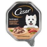 Cesar Adult Dog Landküche krůtí a hovězí ve šťávě 150 g – Sleviste.cz