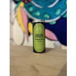 Loklok Kombucha original 250 ml – Zboží Dáma