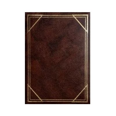Jednobarevné fotoalbum, 10x15, zasunovací B-46200S Vinyl 2 hnědé – Zboží Živě