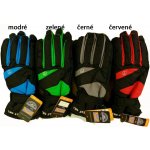 Delfin pánské zimní lyžařské prstové rukavice černá – Hledejceny.cz