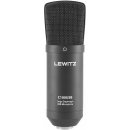 LEWITZ C100USB