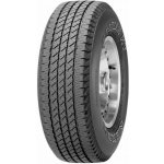 Nexen Roadian HT 245/70 R16 107S – Hledejceny.cz