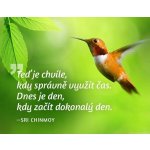 Magnet na lednici Teď je chvíle kdy správně využít čas. Dnes je den kdy začít dokonalý den. – Hledejceny.cz