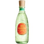 Big Kahuna Pineapple Gin 40% 0,7 l (holá láhev) – Zboží Dáma