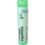 ECHINACEA ANGUSTIFOLIA POR 5CH GRA 1X4G – Hledejceny.cz