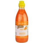 IV San Bernard Aranica pomeranč 500 ml – HobbyKompas.cz IV San Bernard Aranica pomeranč 500 ml – HobbyKompas.cz