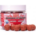 Sportcarp Boilies Wafters Cork 300 ml 20 mm Salmon & Maple – Hledejceny.cz