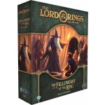 Lord of the Rings: The Card Game The Fellowship of the Ring Saga Expansion – Hledejceny.cz