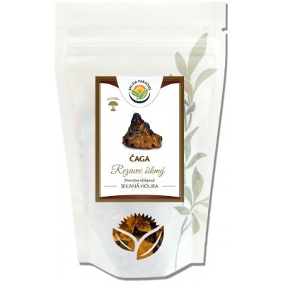 Salvia Paradise Čaga chaga rezavec šikmý 150 g – Zboží Mobilmania