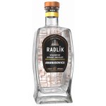 Radlík Ananasový destilát 43% 0,5 l (holá láhev) – Hledejceny.cz