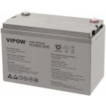 VIPOW 12V 100Ah – Zboží Mobilmania