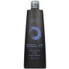 Šampon BES Color Reflection Cool-It Shampoo 300 ml