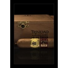 Trinidad La Trova LCDH