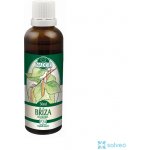 Naděje Bříza bělokorá tinktura z pupenů 50 ml – Hledejceny.cz
