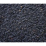 Les fruits du paradis Čočka černá Bio 25 kg – Sleviste.cz
