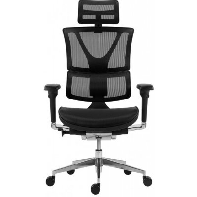 Antares Korina – Sleviste.cz