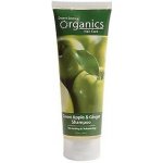 Desert Essence šampon pro jemné vlasy zelené jablko a zázvor 236 ml – Zboží Mobilmania