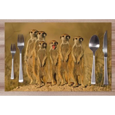 Impar prostírání Surikaty 42x28cm – Zbozi.Blesk.cz