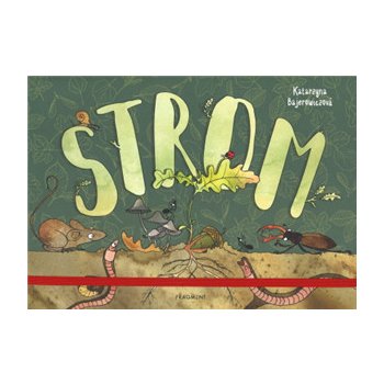 Strom | Katarzyna Bajerowiczová