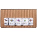 Anton Kaapl 47% 5 x 0,05 l (set) – Zboží Dáma