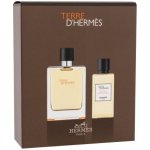 Hermes Terre D Hermes EDT pro muže 100 ml + sprchový gel 80 ml dárková sada – Hledejceny.cz