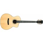 Dowina 2018 GACE-ds Master Series – Zboží Mobilmania