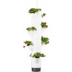 Gusta Garden GG-100538 – HobbyKompas.cz