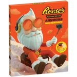 Reese's Peanut Butter Miniature Cups adventní kalendář 245g – Zboží Dáma