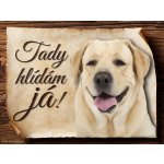 Sport hobby Cedulka Labradorský retrívr Tady hlídám já! CP801 20 x 15 cm – Zboží Mobilmania